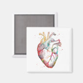 Menselijk hart magneet (Voorkant / Achterkant)