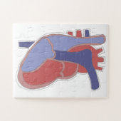 Menselijk Hart Puzzel Legpuzzel (Horizontaal)