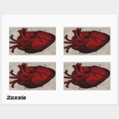 Menselijk hart Sticker (Vel)