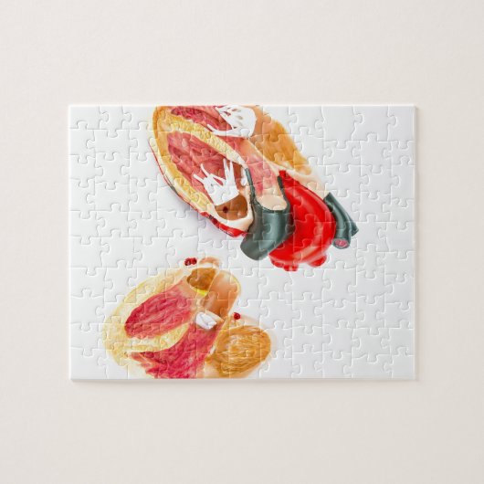 Menselijk hartmodel geïsoleerd op witte achtergron legpuzzel (Horizontaal)