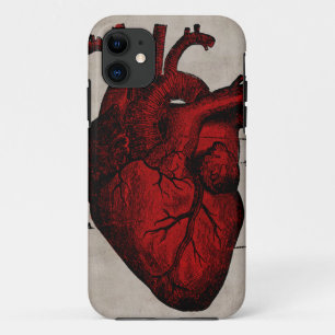 Menselijk Hoesje-Mate Hoesje
