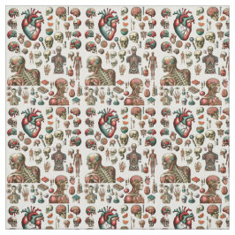 Menselijk Lichaam Anatomie Medische Wetenschap Kun Stof