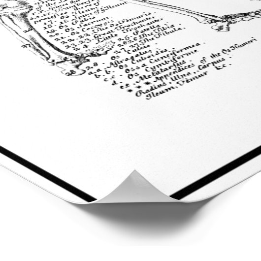 MENSELIJK LICHAAM ANATOMY 1728 POSTER (Hoek)