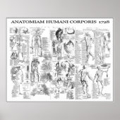 MENSELIJK LICHAAM ANATOMY 1728 POSTER (Voorkant)