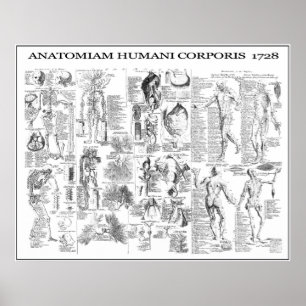 MENSELIJK LICHAAM ANATOMY 1728 POSTER