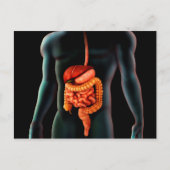 Menselijk lichaam en spijsverteringsstelsel briefkaart (Voorkant)
