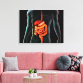 Menselijk lichaam en spijsverteringsstelsel canvas afdruk (Insitu (Woonkamer))