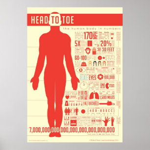 Menselijk lichaam in het Poster Numbers