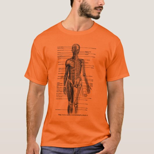 Menselijk lichaam Medische Diagram T-shirt - 4 stu (Voorkant)