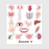 MENSELIJK LICHAAM STICKERS (Vel)