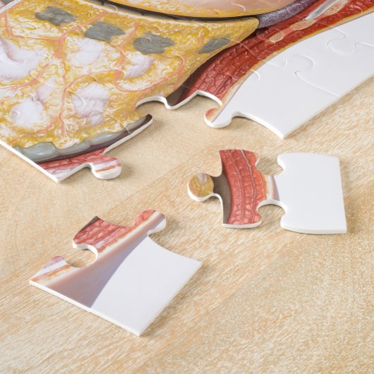 Menselijk lichaamsmodel met organen geïsoleerd op legpuzzel (Zijkant)