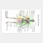 Menselijk mannelijk skelet stickers (Voorkant)
