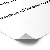 Menselijk oog poster (Hoek)