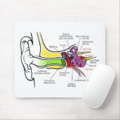 Menselijk oordiagram met cochleaire frequentietoew muismat (Met muis)