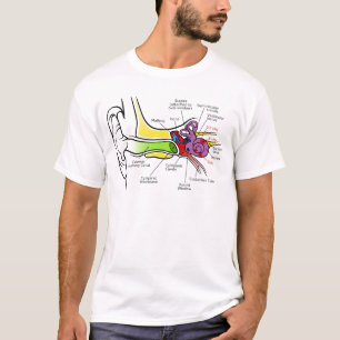 Menselijk oordiagram met cochleaire frequentietoew t-shirt