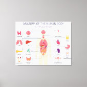 Menselijk orgaansysteem canvas afdruk (Voorkant)