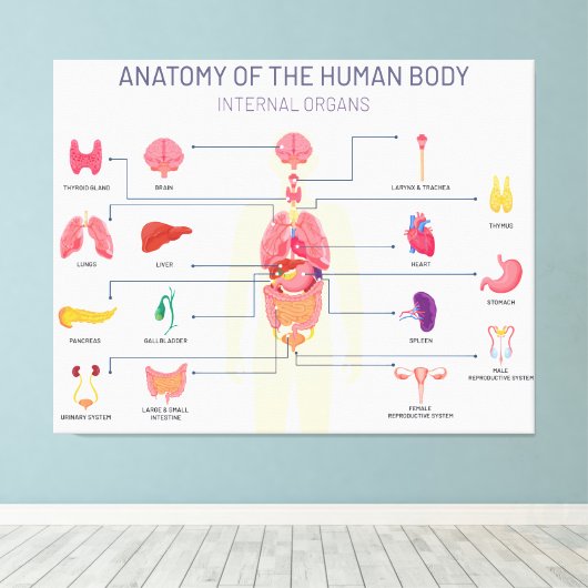 Menselijk orgaansysteem canvas afdruk (Insitu (Houten vloer))