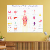 Menselijk orgaansysteem canvas afdruk (Insitu (Woonkamer))