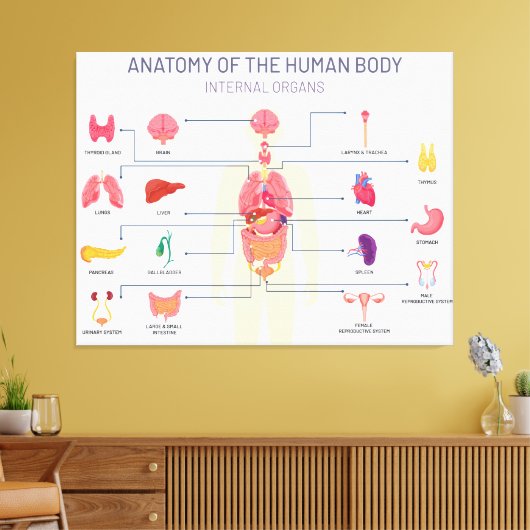 Menselijk orgaansysteem canvas afdruk (Insitu (Woonkamer))