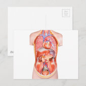 Menselijk schildkliermodel met organen briefkaart (Voorkant / Achterkant)