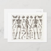 Menselijk skelet  Briefkaart (Voorkant / Achterkant)