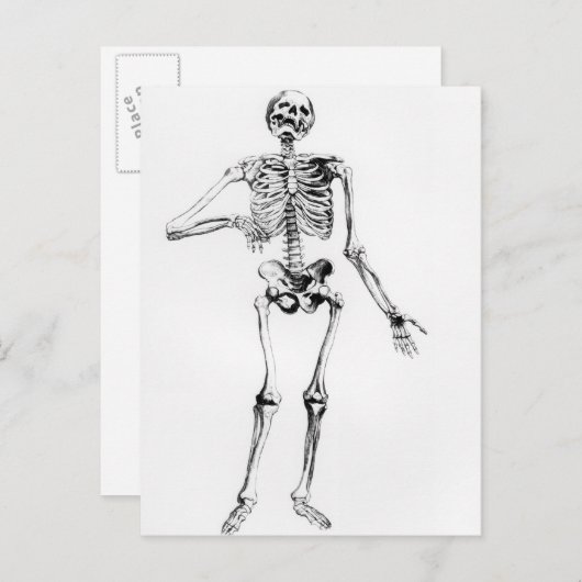 Menselijk Skelet Briefkaart (Voorkant / Achterkant)