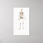 Menselijk skelet canvas afdruk (Voorkant)