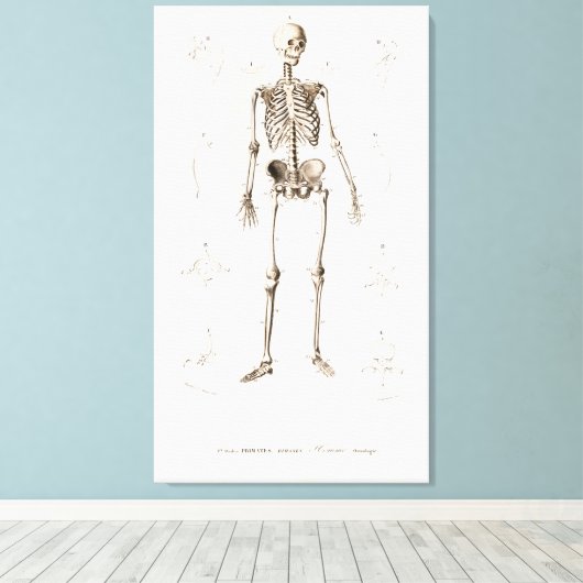 Menselijk skelet canvas afdruk (Insitu (Houten vloer))