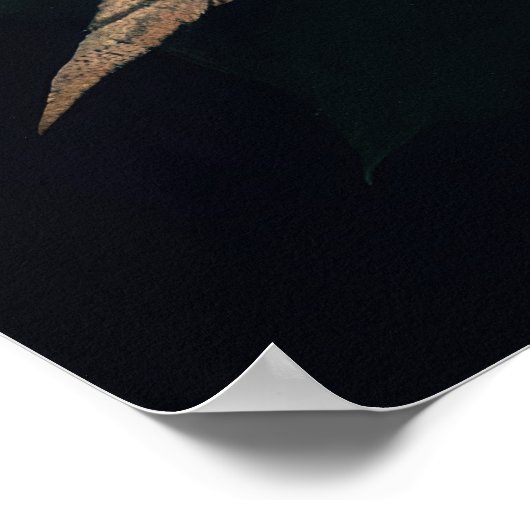 Menselijk skelet en donkere gothiek poster (Hoek)