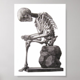 Menselijk skelet Sitting Anatomie science Art Poster
