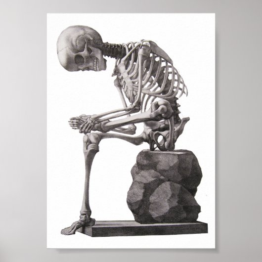 Menselijk skelet Sitting Anatomie science Art Poster (Voorkant)