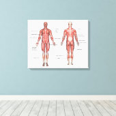 Menselijk spierstelsel gelabeld canvas afdruk (Insitu (Houten vloer))