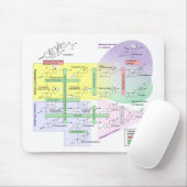 Menselijk steroidogenese Diagram Biologisch Chemis Muismat (Met muis)