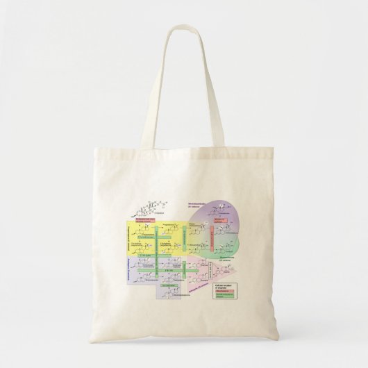 Menselijk steroidogenese Diagram Biologisch Chemis Tote Bag (Voorkant)