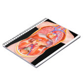 Menselijk torso model met inwendige organen op zwa notitieboek (Linkerzijde)