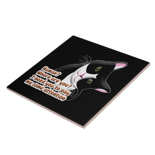 Menselijk? Waar ben je? Kat Tegeltje (Zijkant)