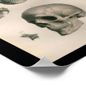 menselijke anatomie Afdrukschedel Botten Poster (Hoek)