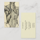 Menselijke anatomie Art Back Muscles (circa 1890) Visitekaartje (Voorkant / Achterkant)