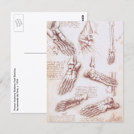Menselijke anatomie Botten van Leonardo da Vinci Briefkaart (Voorkant / Achterkant)
