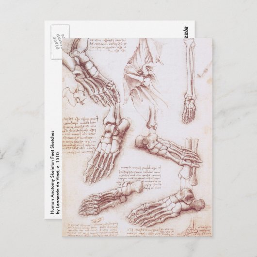 Menselijke anatomie Botten van Leonardo da Vinci Briefkaart (Voorkant / Achterkant)
