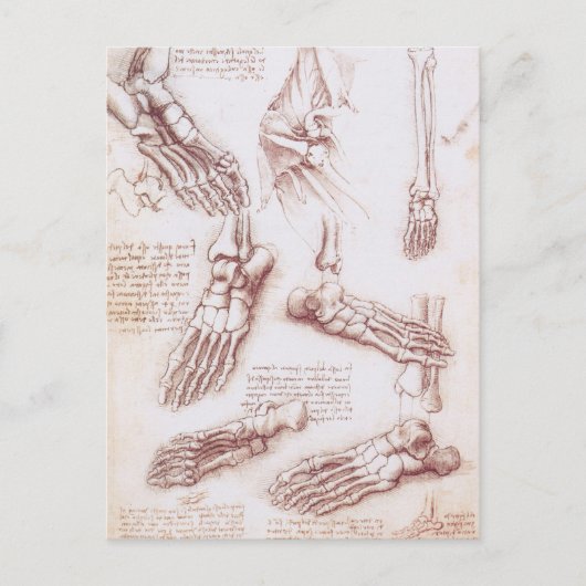 Menselijke anatomie Botten van Leonardo da Vinci Briefkaart (Voorkant)