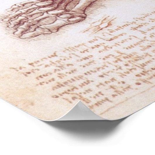 Menselijke anatomie Botten van Leonardo da Vinci Poster (Hoek)