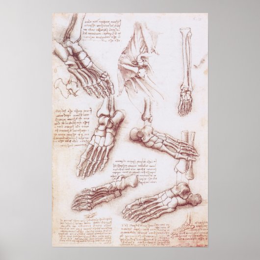 Menselijke anatomie Botten van Leonardo da Vinci Poster (Voorkant)
