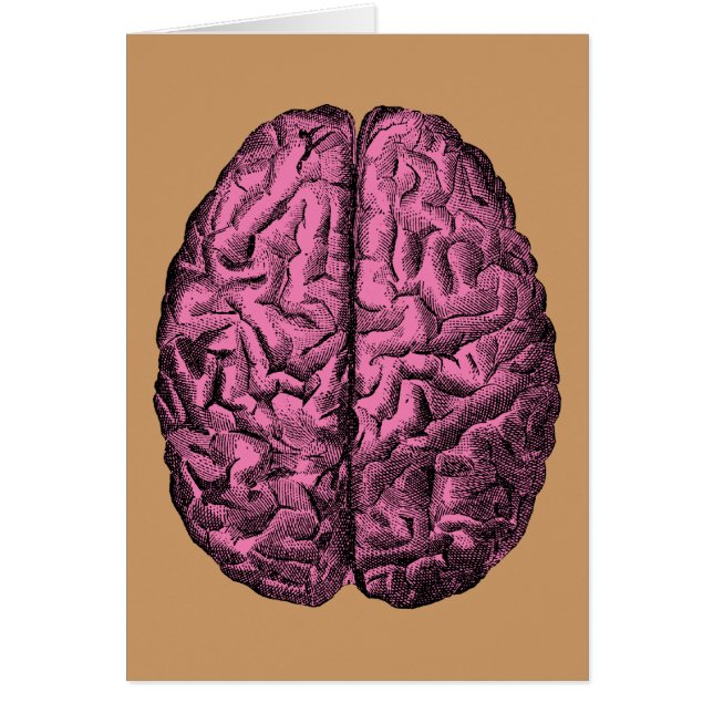 Menselijke Anatomie Brain (Voorkant)