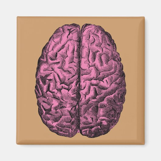 Menselijke Anatomie Brain Magneet (Voorkant)