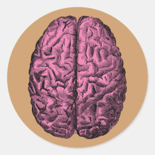 Menselijke Anatomie Brain Ronde Sticker