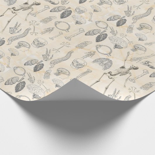  menselijke anatomie Cream Marfil Marble Cadeaupapier (Hoek)