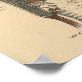  menselijke anatomie Druk nekspieren af Poster (Hoek)