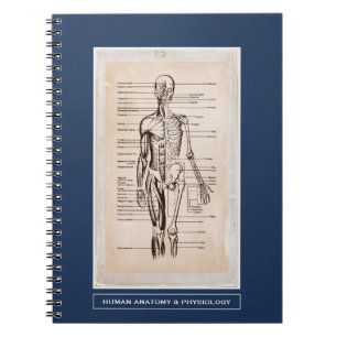 Menselijke anatomie en fysiologie Gepersonaliseerd Notitieboek