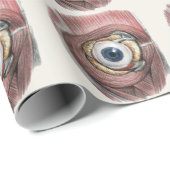  menselijke anatomie, Eyeball Eye met spieren Cadeaupapier (Rol Hoek)